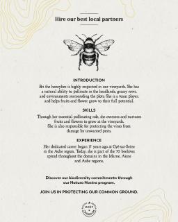 Moët & Chandon: Bee
